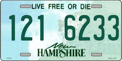 NH license plate 1216233