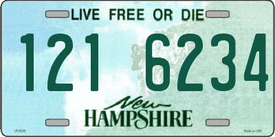 NH license plate 1216234