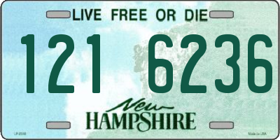 NH license plate 1216236