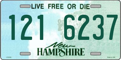 NH license plate 1216237