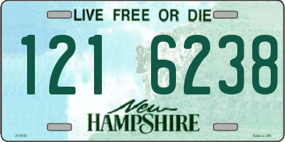 NH license plate 1216238