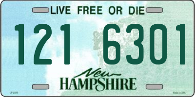 NH license plate 1216301