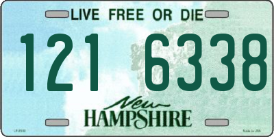 NH license plate 1216338