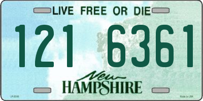 NH license plate 1216361