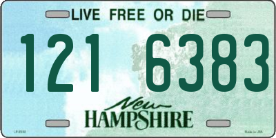 NH license plate 1216383