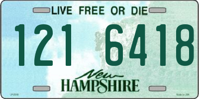 NH license plate 1216418