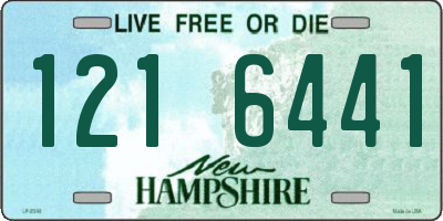 NH license plate 1216441