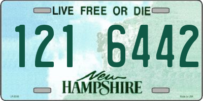 NH license plate 1216442