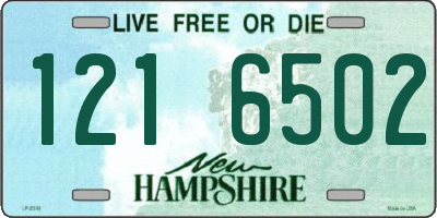 NH license plate 1216502