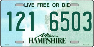 NH license plate 1216503