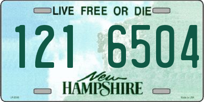 NH license plate 1216504