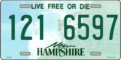 NH license plate 1216597
