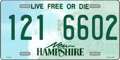 NH license plate 1216602
