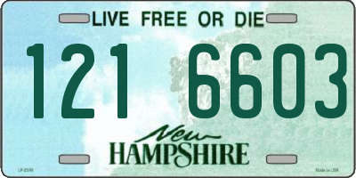 NH license plate 1216603