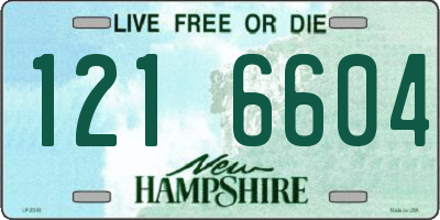 NH license plate 1216604