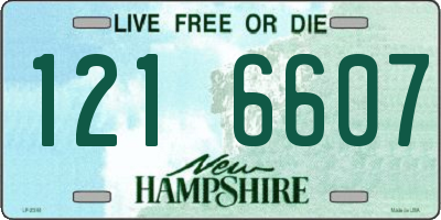 NH license plate 1216607