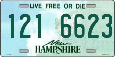 NH license plate 1216623