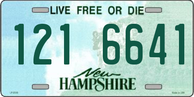 NH license plate 1216641