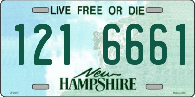 NH license plate 1216661