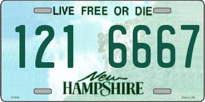 NH license plate 1216667