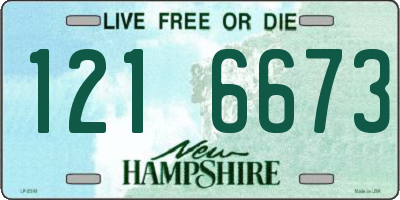NH license plate 1216673