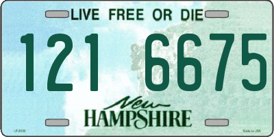 NH license plate 1216675