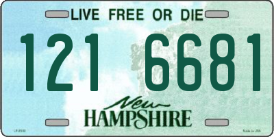 NH license plate 1216681