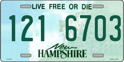 NH license plate 1216703