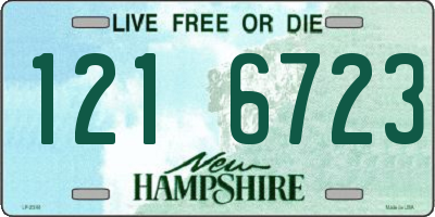 NH license plate 1216723