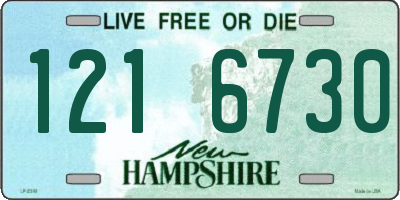NH license plate 1216730