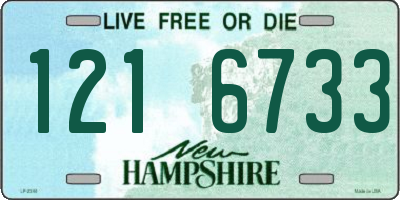 NH license plate 1216733