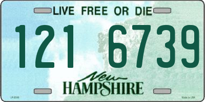NH license plate 1216739