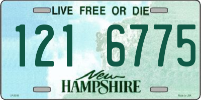 NH license plate 1216775