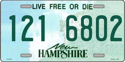NH license plate 1216802