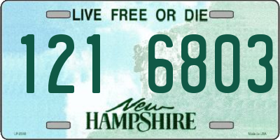 NH license plate 1216803