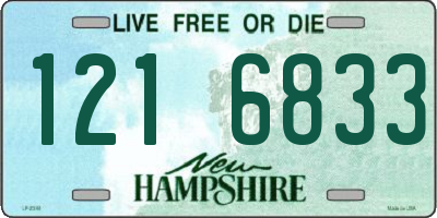 NH license plate 1216833