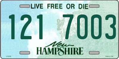 NH license plate 1217003