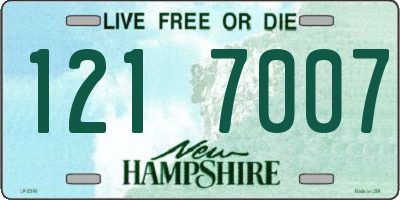 NH license plate 1217007