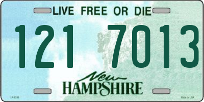 NH license plate 1217013