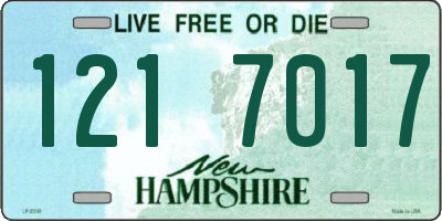 NH license plate 1217017