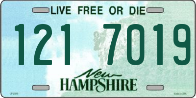 NH license plate 1217019