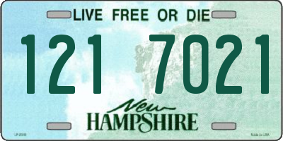 NH license plate 1217021