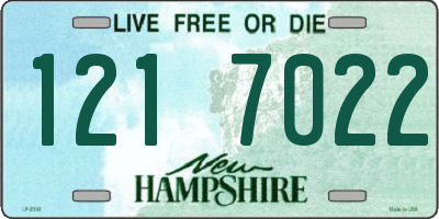 NH license plate 1217022