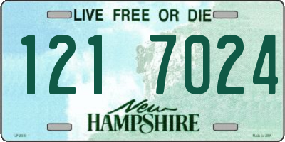 NH license plate 1217024