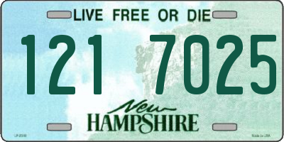 NH license plate 1217025