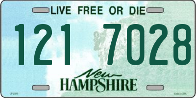 NH license plate 1217028