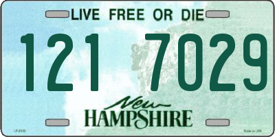 NH license plate 1217029