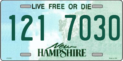 NH license plate 1217030