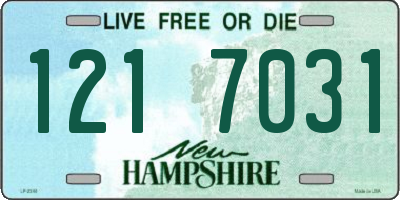 NH license plate 1217031
