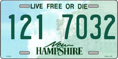 NH license plate 1217032